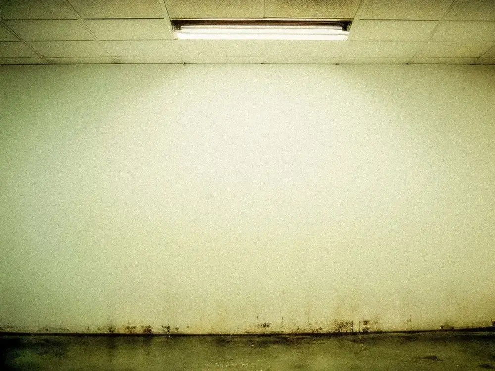 Mold — a situation Emrick Services responds to