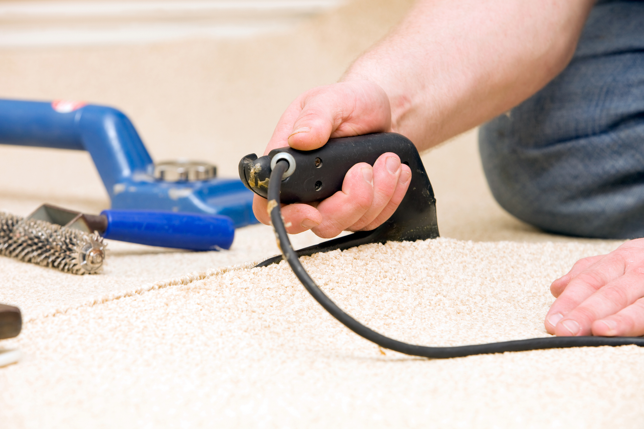 5 Reasons to Schedule a Professional Carpet Cleaning for Your Home or Business