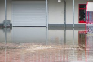 What to Do if Your Business Suffers Water Damage