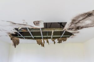 Exploring the Compounding Effects of Water Damage