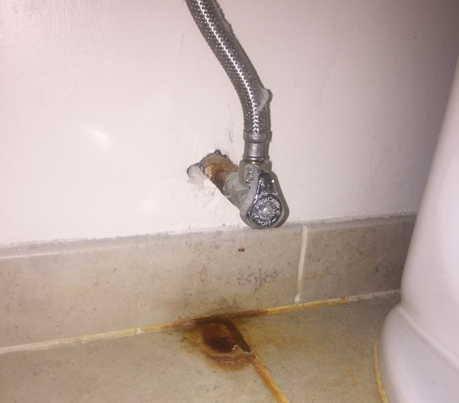 These are the Biggest Culprits of Water Leaks