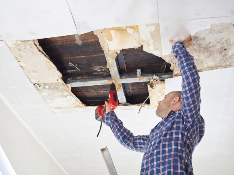Summer Restoration Jobs in Louisville, KY and Surrounding Areas